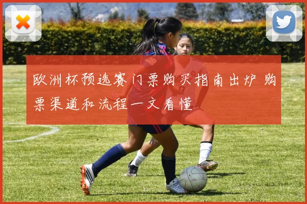 欧洲杯预选赛门票购买指南出炉 购票渠道和流程一文看懂