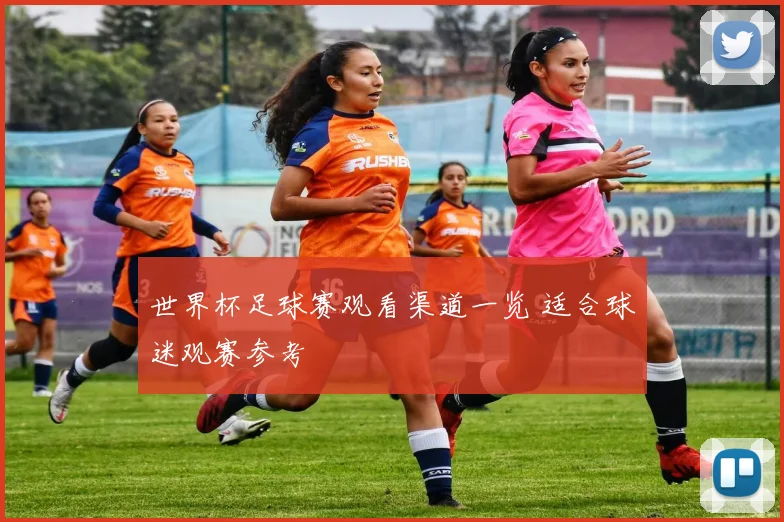 世界杯足球赛观看渠道一览 适合球迷观赛参考