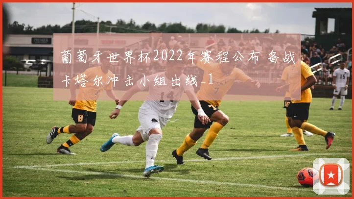 葡萄牙世界杯2022年赛程公布 备战卡塔尔冲击小组出线_1