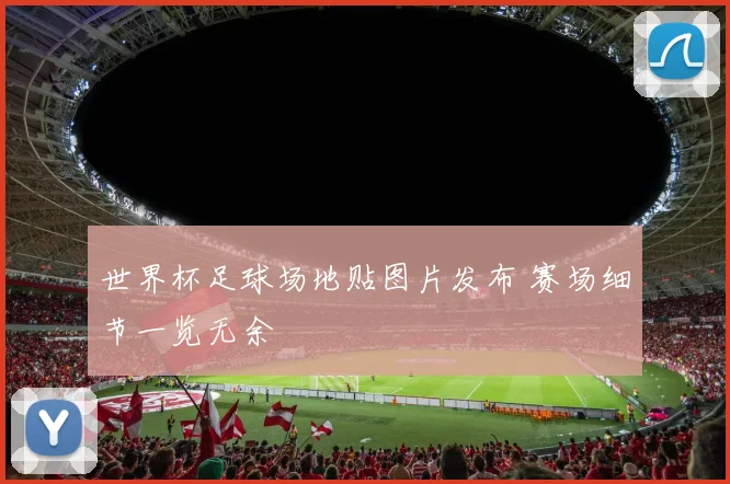 世界杯足球场地贴图片发布 赛场细节一览无余