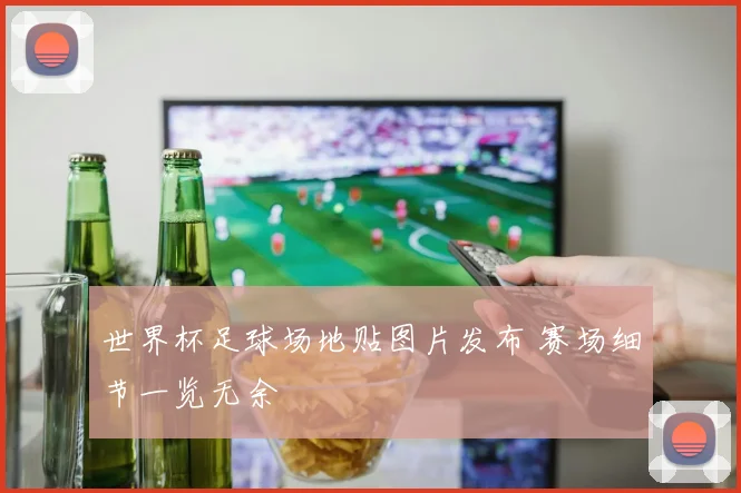 世界杯足球场地贴图片发布 赛场细节一览无余