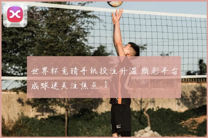 世界杯竞猜手机投注升温 购彩平台成球迷关注焦点_1