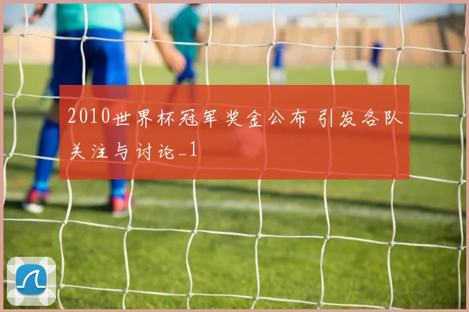 2010世界杯冠军奖金公布 引发各队关注与讨论_1
