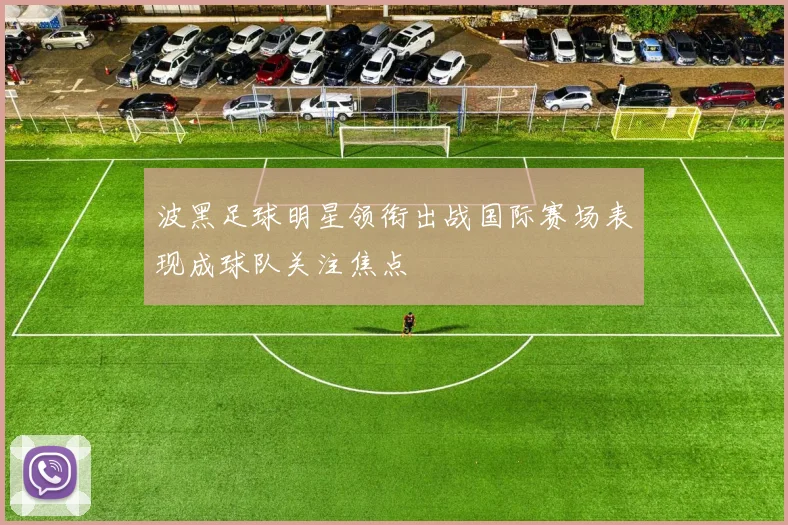 波黑足球明星领衔出战国际赛场表现成球队关注焦点